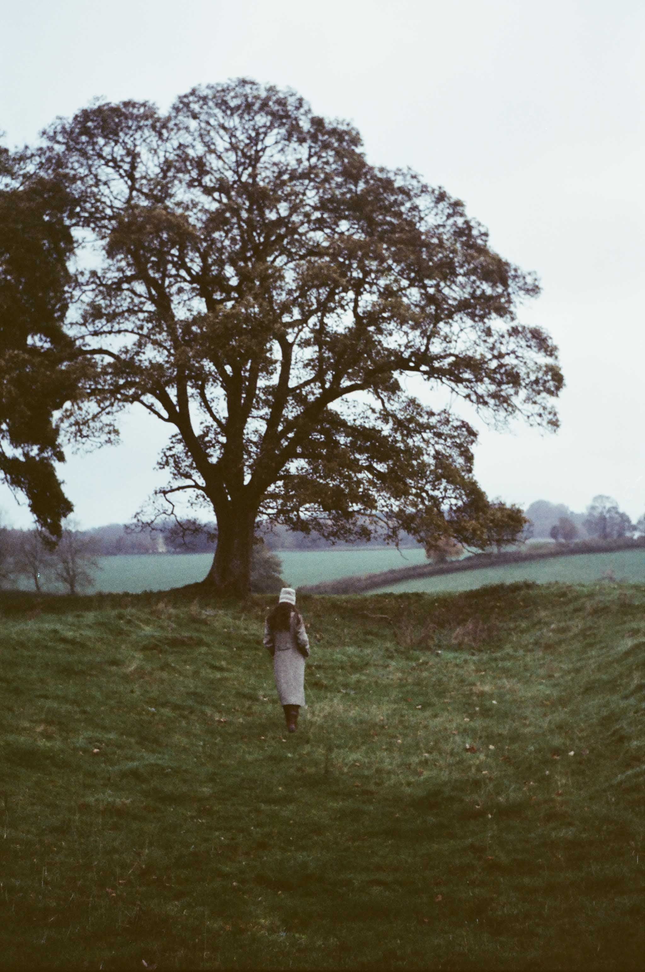 Landscape photograph made in the Cotswolds, England.