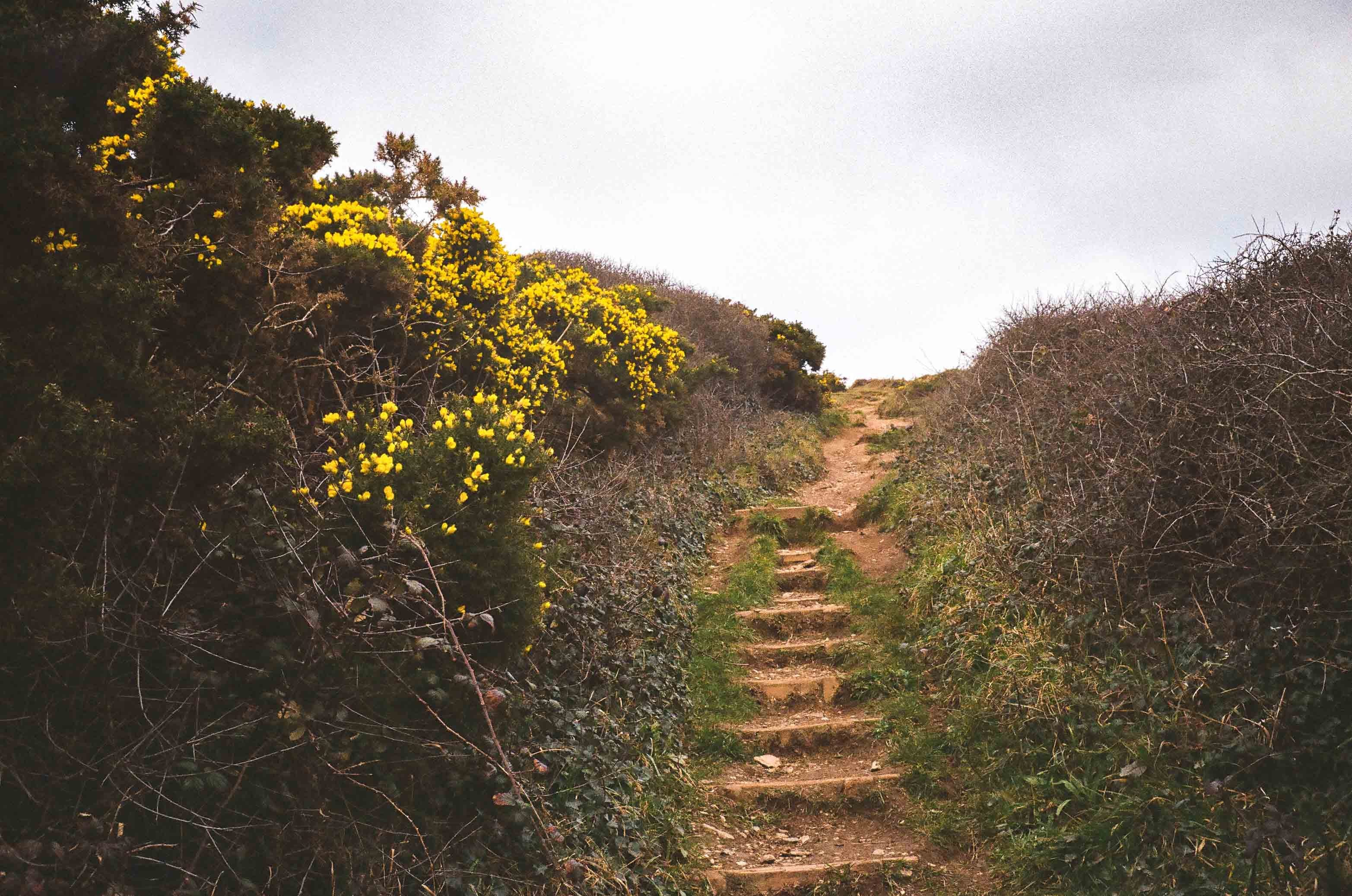 Landscape photograph made in Tintagel, England.