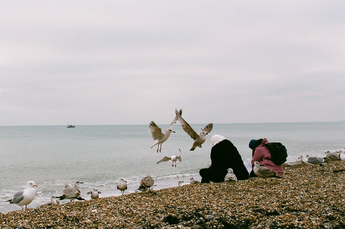 Landscape photograph made in Brighton, England.