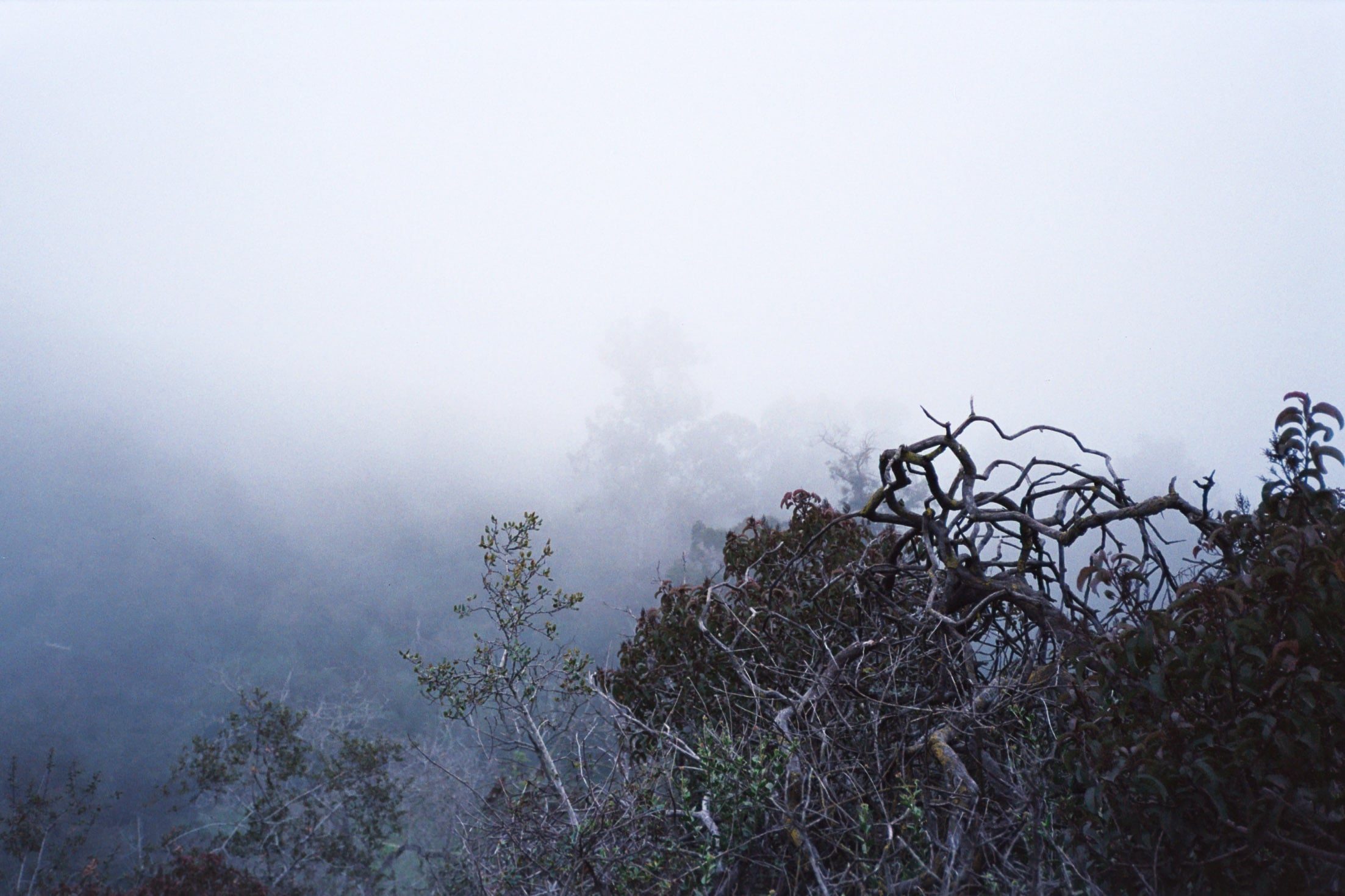 Landscape photograph made in Los Angeles, California.