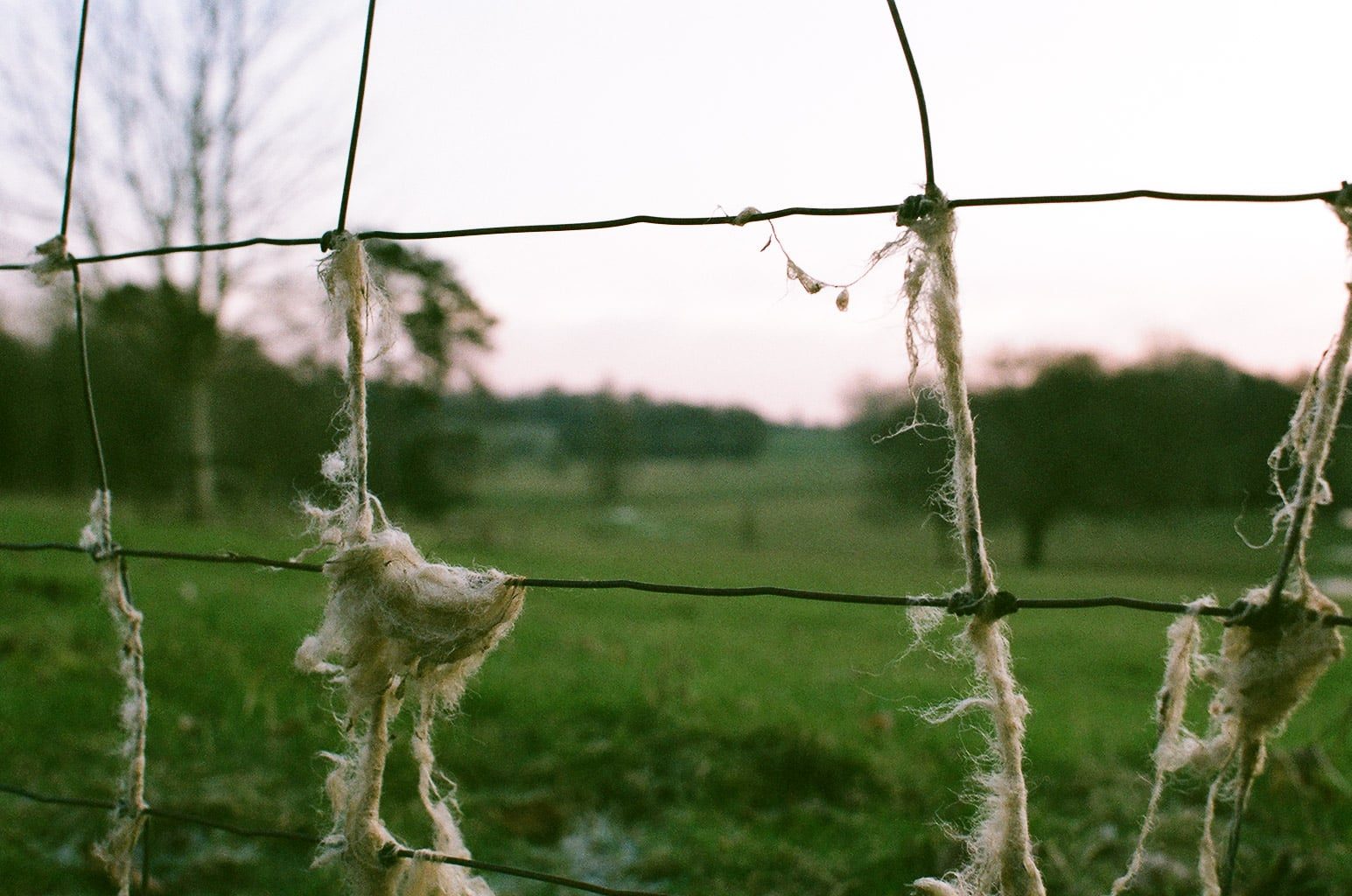 Landscape photograph made in the Cotswolds, England.