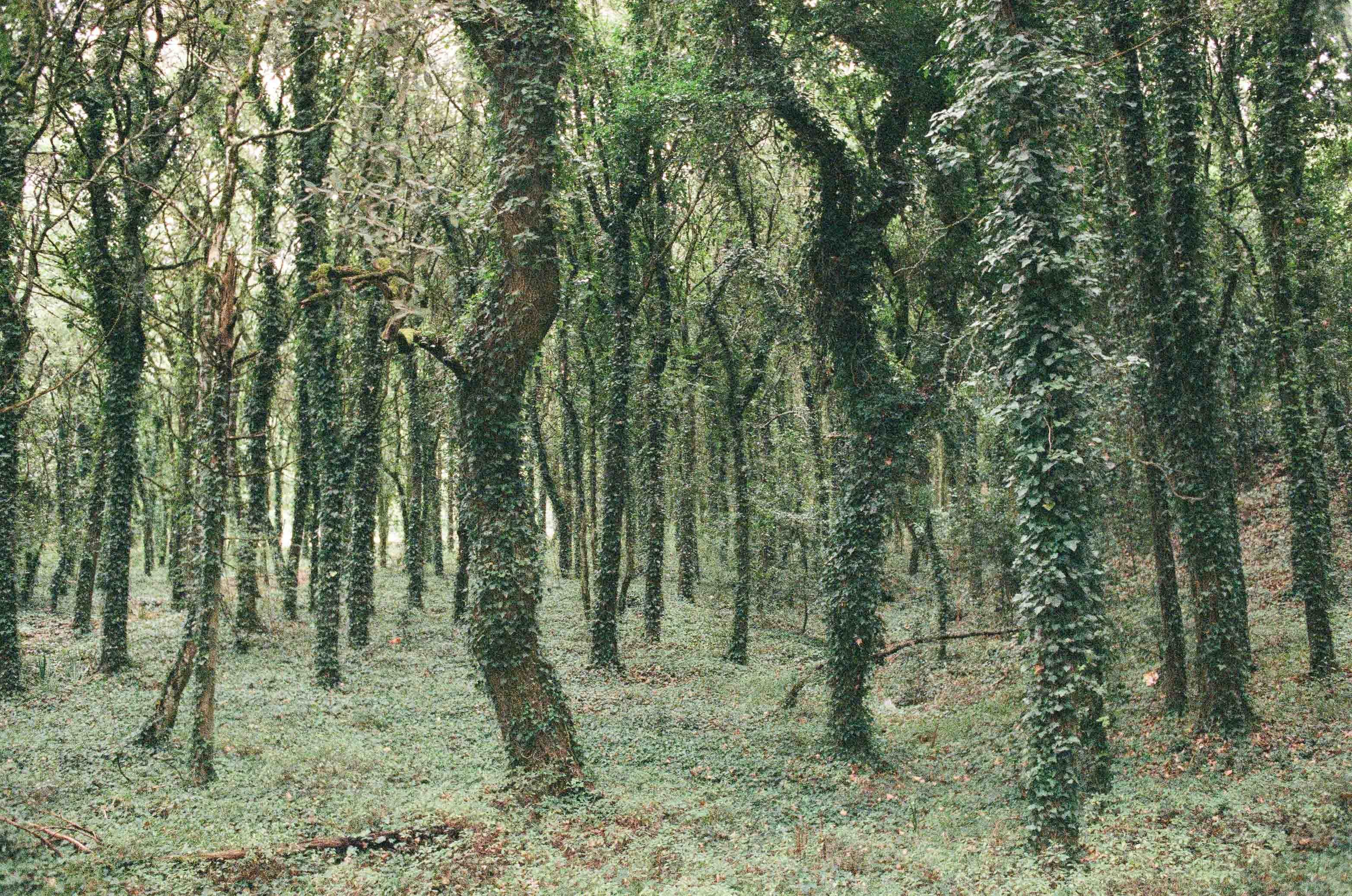 Landscape photograph made in Erice, Italy.