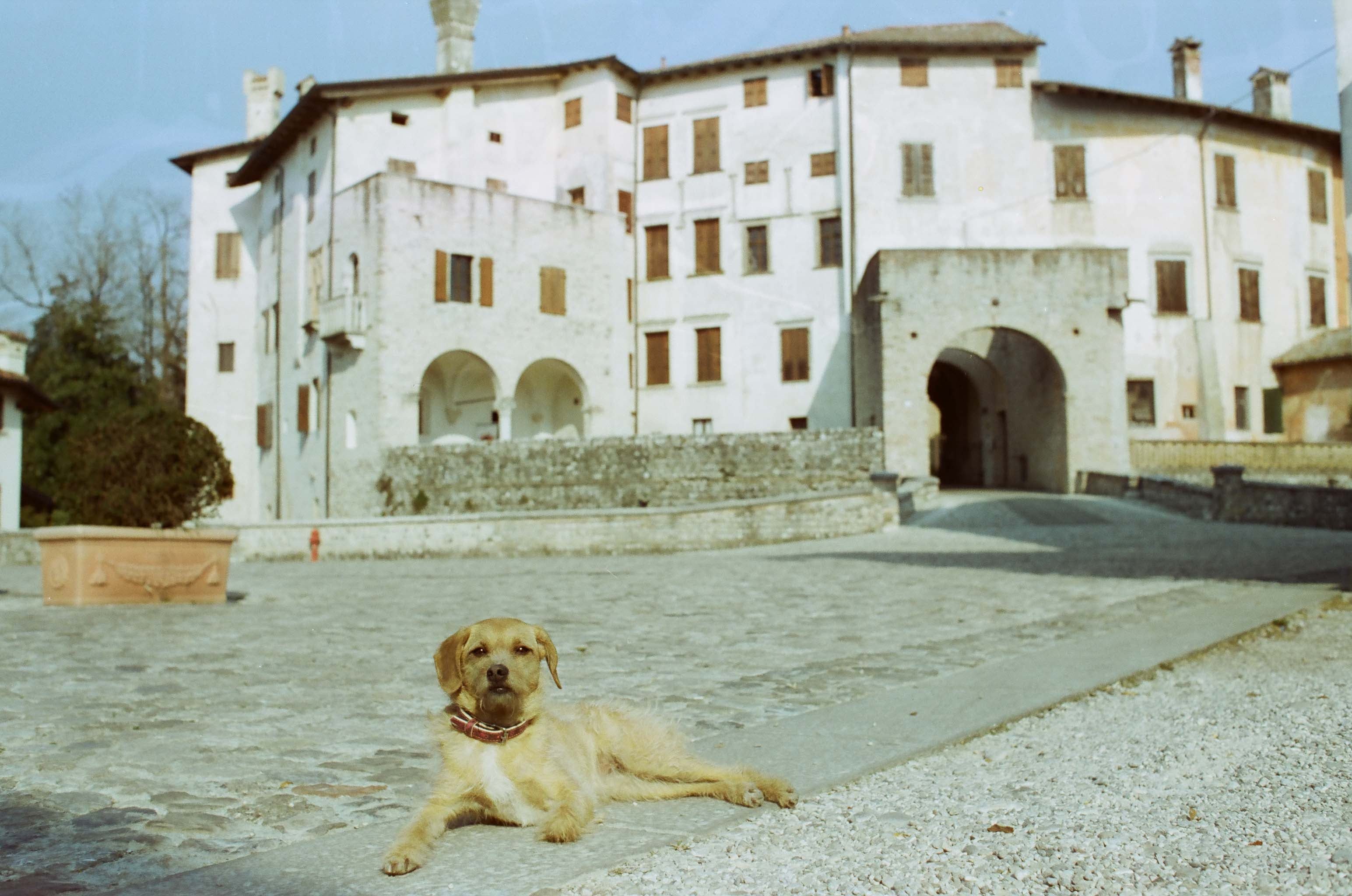 Architecture photograph made in Valvasone, Italy.